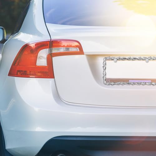 MorningRo 2 Pcs Universal License Plate Frame Plastic Barbed Wire Coconut Design Frame Compatible with Standard License Plate for USA 2 Holes with Screws for Women Men(Silver) - color: Silver