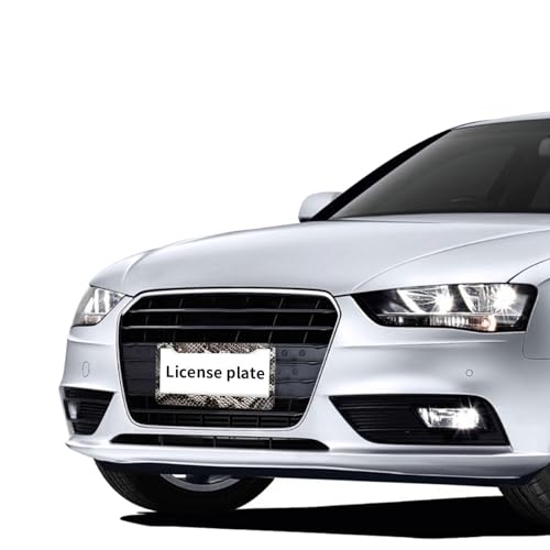 Snake License Plate Frame Abstract Animal Snake Car Front License Plate Personalise Stainless Steel Funny Design Compatible with Standard License Plate Holder for USA and Canada 12.2" X 6.2" - color: Snake_30