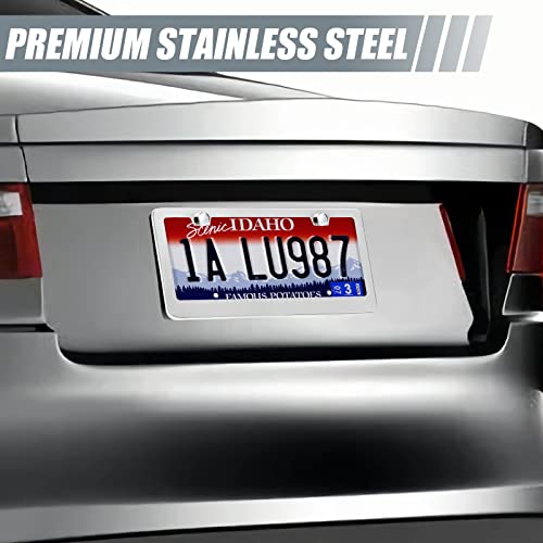 QUANQIUFEI 2 Pack License Plate Frames, Stainless Steel Car License Plate Cover Car Accessories with Screw Caps (Silver) - color: Silver