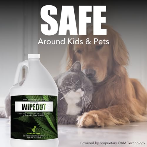Chronic Wipeout Smoke Smell Eliminator for Home, Cars, Hands, Hair, Clothes, & More | Smoke Odor Eliminating Spray for All Kinds of Strong Smoke | Gifts for Smokers - Bamboo Teak 1 Gallon - size: 1 Count (Pack of 1)