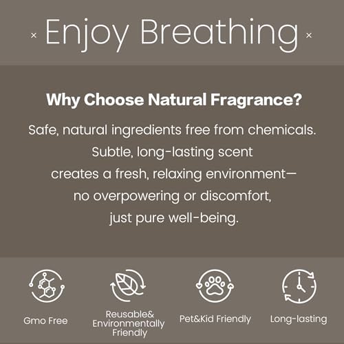 Car Air Freshener - 90 Days Long Lasting with 2Pcs Refills - Amber Scent Wood Car Air Diffuser Kit Automotive Visor Interior Accessories Decor