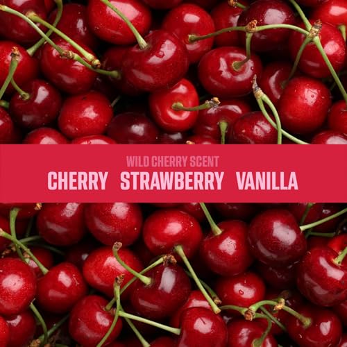 Ozium Odor Eliminating Gel Air Freshener 4.5 oz Wild Cherry for Home Car Office (2-pack) - size: 1 Count (Pack of 2)