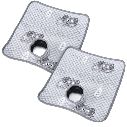 Potty Training Car Seat Protector, Waterproof Car Seat Cover for Toddlers, Piddle Pads for Baby Carseat, Stroller, Non-Slip & Machine Washable (Gray, 2PC) - color: Gray