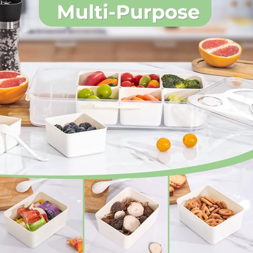 LUXEAR Divided Serving Tray with Lid and Handle Snack Box Charcuterie Container Dishwasher Safe 8 Compartment Snack Platters Portable Clear Organizer for Fruits, Candy, Snacks, Picnic, Travel - size: 1pack white