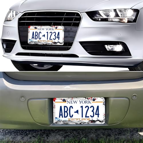 Watercolor Cherry Blossom License Plate Frames, 2 Pack Japanese Sakura Car Plate Frame, Stainless Steel License Plate Holders Covers with Free Screws Fasteners Caps (Cherry Blossoms) - color: Cherry Blossoms