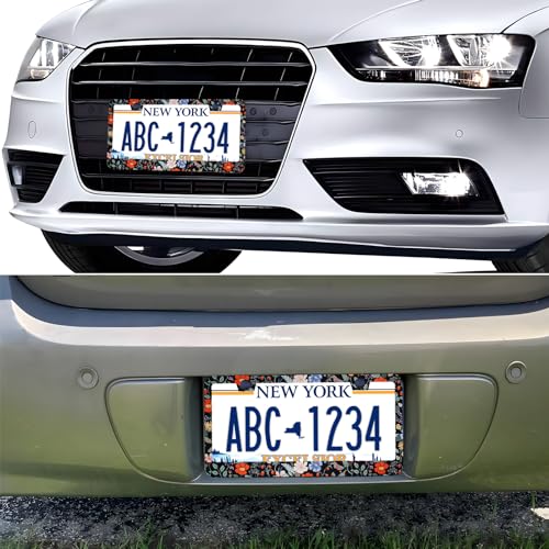Floral Flowers Strawberries License Plate Frames, 2 Pack Floral Strawberry Car Plate Frame, Stainless Steel License Plate Holders Covers with Free Screws Fasteners Caps (Flowers Strawberries) - color: Flowers Strawberries