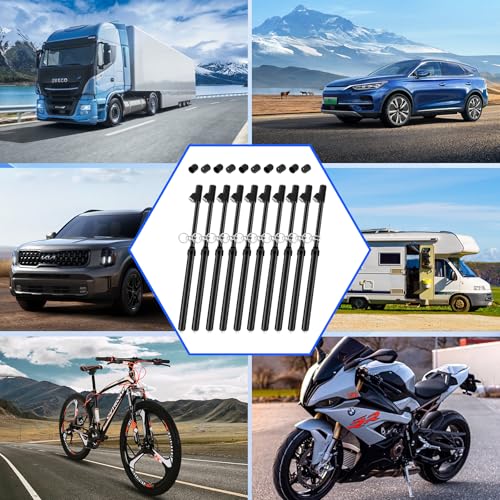 10-Pack Dual Head Tire Pressure Gauge – Heavy Duty 10-150 PSI Air Pressure Gauge with Stainless Steel Body, Metal Nozzle & Durable Plated Brass – for Cars, Trucks, Bikes, RVs (Black) - color: Black, size: 10P