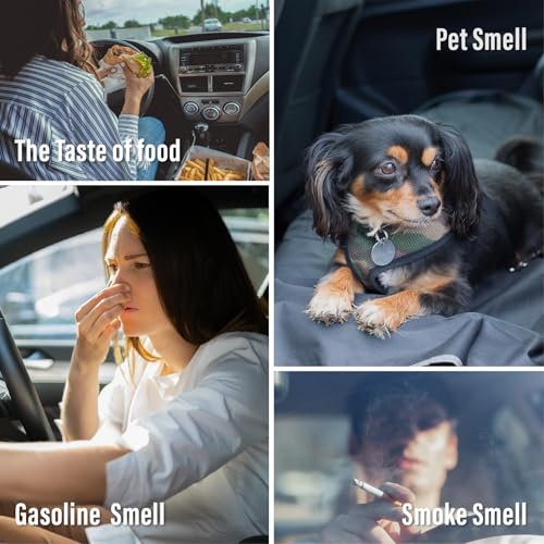 Car Air Freshener Vent Clip, Car Fresheners Long Lasting Scent (13ml x 2 Pack), Up to 180 Days, Air Freshener Deodorizer Odor Eliminator for Auto - Orange Perfume