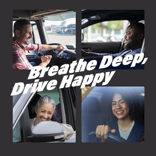 Car Air Freshener Vent Clips, Hawaiian Scent, 6 Pack, Long Lasting Scent Up to 180 Days