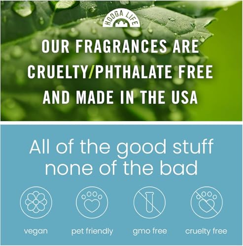 HoogaLife Car Air Freshener Diffuser 2 Pack Hanging Air Freshener - New Car Fragrance Oil Air Diffuser for Automobile, 45+ Days Long Lasting Fragrance Made in USA (N82)