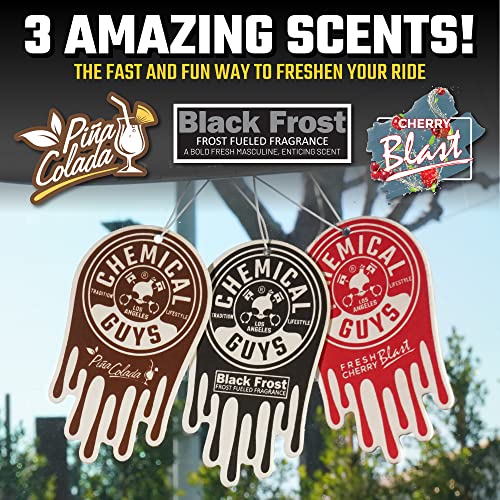 Chemical Guys 8-Piece Arsenal Builder Car Wash Kit - Includes Bucket, Dirt Trap, Lid, Wash Mitt, Air Fresheners & (3) 16 oz Car Care Chemicals, Complete Cleaning Kit for Trucks, SUVs & More - style: HOL126L