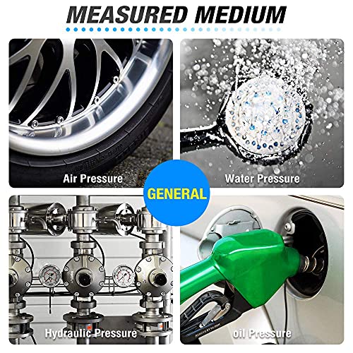 MEANLIN MEASURE 0~60Psi Stainless Steel 1/4" NPT 2.5" FACE DIAL,Liquid Filled Pressure Gauge,Pool Sand Filter Pressure Test Back Mount(Pack of 2) with 1/2" NPT and 3/8" NPT Hex Bushing - size: 0-60Psi (2Pcs)