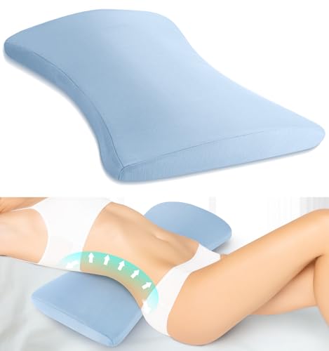 Lumbar Support Pillow for Bed Relief Back Pain: Lower Back Pillow for Sleeping - Memory Foam Waist Pillow - Back Wedge Bolster Pillow for Side, Back&Stomach Sleepers - Bed Rest Pillow for Car, Sofa - color: Light Blue