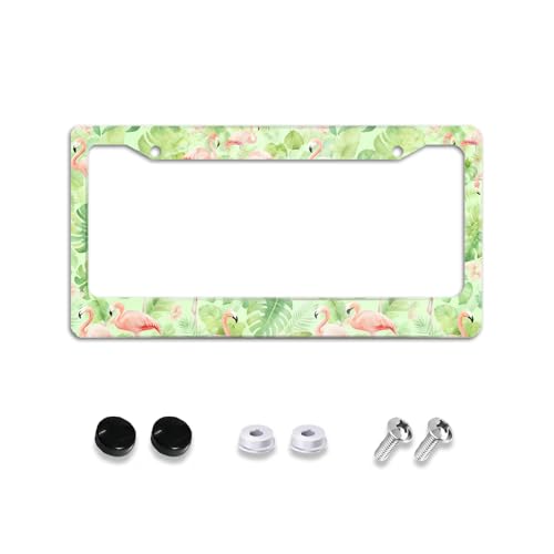 Flamingo Palm Leaf License Plate Frame Holder Cover Car Accessories, Aluminum Car Tag Frame with 2 Holes and Screws Novelty Auto Car Tag Decoration Accessory for Women Men 12x6''US Vehicle Standard - color: Green Flamingo