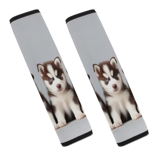 Fashion Car Seat Belt Covers Soft Cushion Pad Car Shoulder Strap Harness Pad Siberian Husky Puppies Dogs Husky - color: Color353