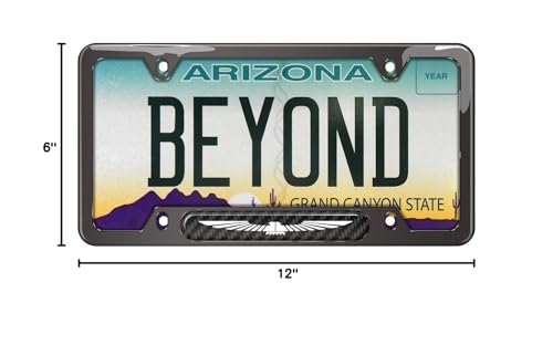 iPick Image Made for Ford Thunderbird Real Carbon Fiber Insert Gunmetal Chrome Stainless Steel License Plate Frame