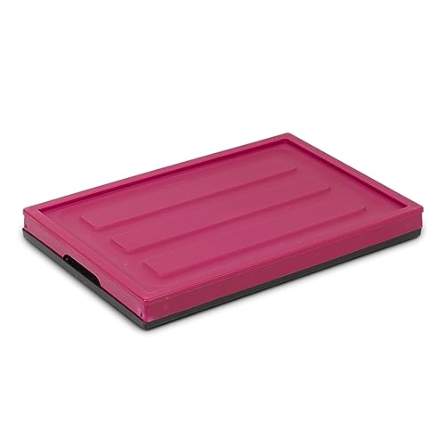 Glad Collapsible Storage Bin with Lid - 48L Foldable Plastic Box for Garage, Car Trunk, and Organization - Stackable Lidded Container with Handles, Purple - color: Purple