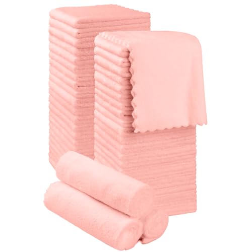Orighty Ultra Soft Washcloths 48 Pack, Premium Microfiber Towel Sets 12 x 12 inches, Absorbent and Quick Drying Coral Velvet Washcloth, Multi-Purpose Wash Cloths for Bathroom, Hotel, and Gym (Pink) - color: Pink, size: 48 Pack Washcloths