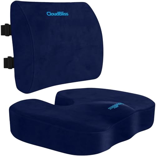 CloudBliss Lumbar Support Pillow & Seat Cushion Set for Office Chair, Desk Chair, Wheelchair & Car – Memory Foam Back Support, Ergonomic Chair Cushions, Sciatica Pain Relief, Home Essentials, Blue - color: Blue, size: Large