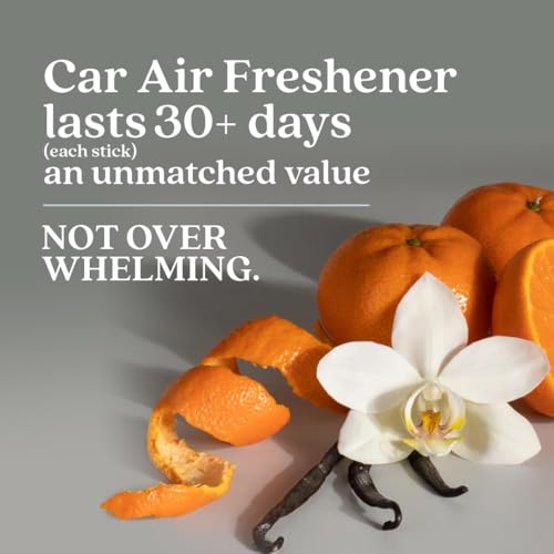 Enviroscent Non-Toxic* Car Air Freshener Auto Stix® - Fragrance Lasts Up to 180 Days - Includes Auto Stix® Diffusers & Elastic Loops - Mother’s Day Gift for Mom - Black Vanilla & Mandarin (Pack of 3) - size: 3 Count (Pack of 2)