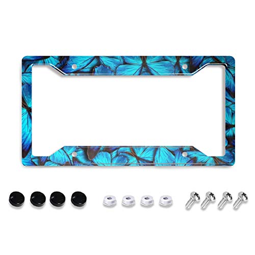 Personalized License Plate Frame Stainless Steels Cute Blue Butterflies License Plate Car Tag Holder with 4 Holes and Screws for Women Men Auto Decoration for USA Canada Vehicles Standard (12"x6") - color: Blue Butterflies