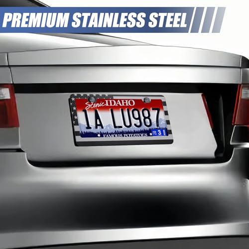 QUANQIUFEI 2 Pack License Plate Frames, Stainless Steel Car License Plate Cover Car Accessories with Screw Caps (Grey and Black) - color: Grey and Black