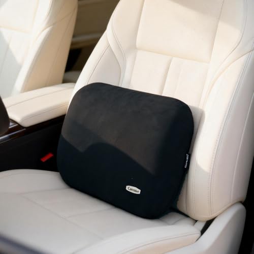 Carwales Emulsion Lumbar Support Pillow for Car Driving Seat Relax Soft Lower Back Support Home Office Chair Cushion Desk Accessories Waist Pain Relief Black - color: Black