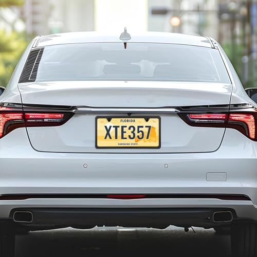 License Plate Frames Stainless Steel License Plate Two Hole Slim Version Licenses Plates Frame Flat Licenses Plates Holder with Metal Screw Caps Car Accessories (Black)