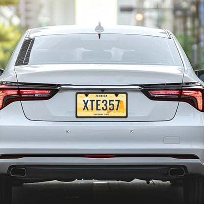 License Plate Frames Stainless Steel License Plate Two Hole Slim Version Licenses Plates Frame Flat Licenses Plates Holder with Metal Screw Caps Car Accessories (Black)