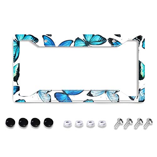 Personalized License Plate Frame Stainless Steels Blue Butterfly Pattern License Plate Car Tag Holder with 4 Holes and Screws for Women Men Auto Decoration for USA Canada Vehicles Standard(12"x6") - color: Blue Butterfly Pattern