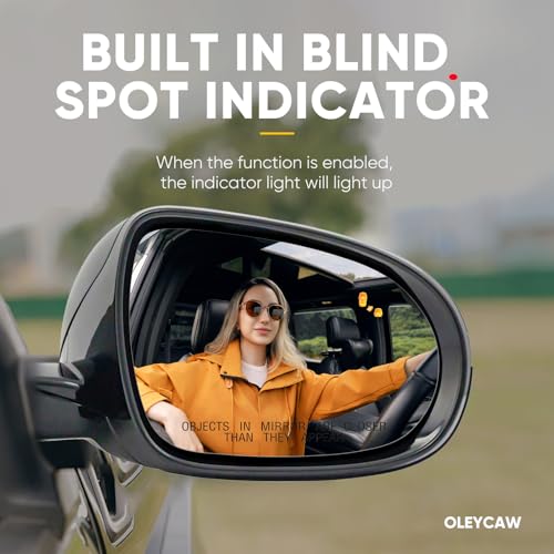 Blind Spot Compatible with Kia Sorento Passenger Side Mirror, 2016 2017 2018 2019 2020 - Right Side Mirrors Replacement Glass with BSD, Power Heated - color: Passenger Side(Blind Spot)