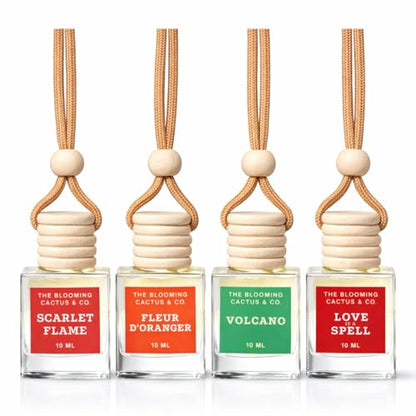 4 Pack Air fresheners | Long lasting car air fresheners, Hand-made in USA | Small room diffuser | Small Business Woman Owned. (10 ml Delightful & Elegant Pack Mix) - style: 10 ml Delightful & Elegant Pack Mix