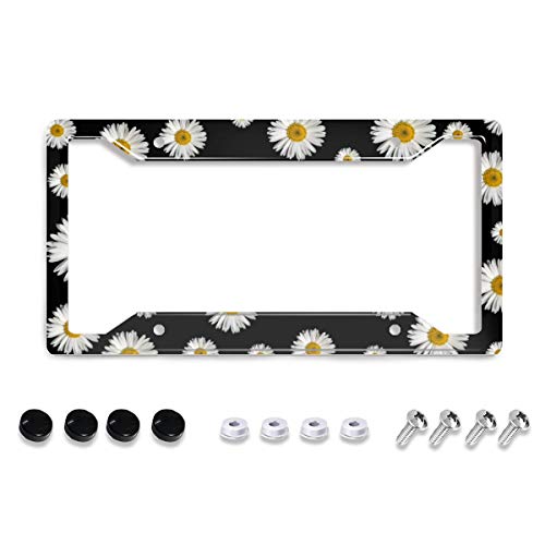 Personalized License Plate Frame Stainless Steels Cute White Daisy Black Background License Plate Car Tag Holder with 4 Holes and Screws for Women Men Auto for USA Canada Vehicles Standard(12"x6") - color: White Daisy Black Background