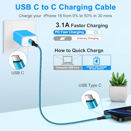 USB C iPhone 16 17 Charger Cable Fast iPhone 16 Charging Cord 10FT 2 Pack for iPhone 17e 17 Pro Max 16 Pro Max,16 Plus,16 Pro,15, Extra Long iPhone 16 Plus Car Charger Cord USB C to USB C Power Cord