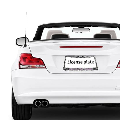 Gothic Dragon License Plate Frame Fantasy Protective Guard Personalise Stainless Steel Funny Design Compatible with Standard License Plate Holder for USA and Canada 6.3 x 12.2 in - color: Gothic Dragon, size: 6.3 X 12.2 In-1PC