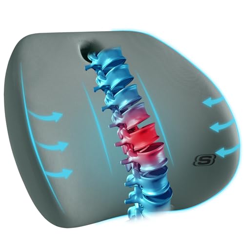 Skechers Lumbar Support Pillow for Office Chair,Memory Foam Lumbar Pillow,Lower Back Pain Relief Lumbar Pillow,Ergonomic Design Back Support Pillow for Office Chair,Car,Home,Travel,Green - color: Green