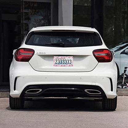 2Pcs Hibiscus Rainbow License Plate Frames Cover Holders Stainless Steel Hibiscus Rainbow License Plate Cover with Screw Caps Cover and Screwdriver Set - 2-Hole for Girl Women (Hibiscus Rainbow) - color: Hibiscus Rainbow