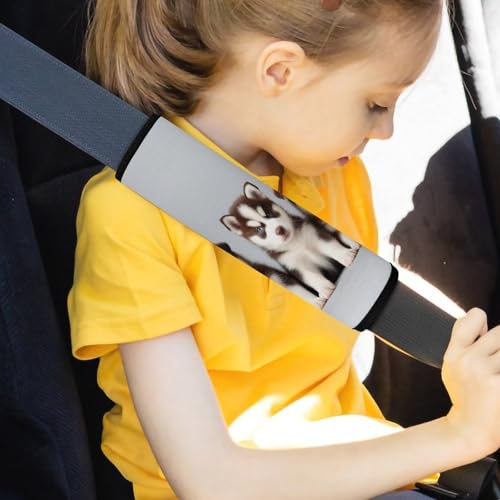 Fashion Car Seat Belt Covers Soft Cushion Pad Car Shoulder Strap Harness Pad Siberian Husky Puppies Dogs Husky - color: Color353