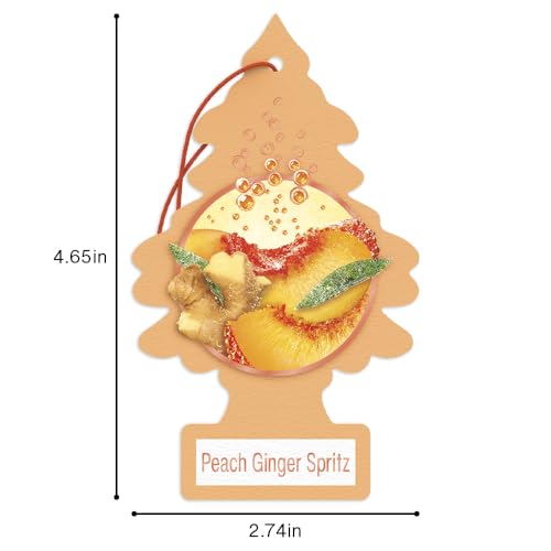 LITTLE TREES Car Air Freshener | Hanging Tree Provides Long Lasting Scent for Auto and Home | 24 Air Fresheners |Peach Ginger Spritz - color: Peach Ginger Spritz