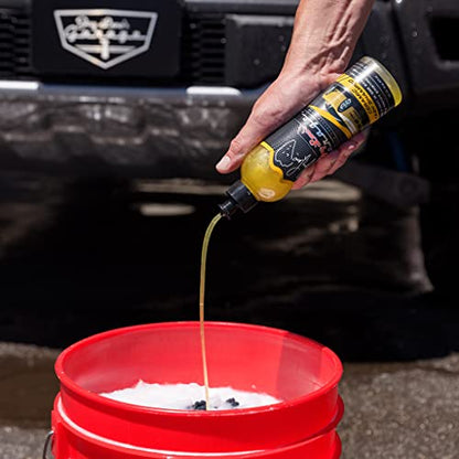 Jay Leno's Garage Ceramic Car Coating Kit – Car Wash Bundle with Ceramic Coating Spray, Car Ceramic Coating Products, Wheel and Tire Cleaner, Microfiber Towels, Applicators & Wash Mitt Detailing Kit - style: Ceramic Detailing Kit