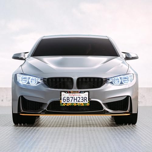 Blessed Sunflower License Plate Frame Christian License Plate Holder Personalise Stainless Steel Funny Design Compatible with Standard License Plate Frames for USA and Canada 6 X 12 Inch with Screws - color: Blessed Sunflower