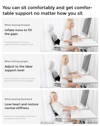 BEBAS Adjustable Air Lumbar Support Pillow for Office Chair, Car & Gaming Chair Memory Foam Back Support for Pain Relief & Posture Correction with Washable Cover, Grey