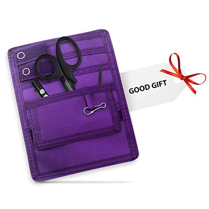 ASA TECHMED Nurse Pocket Organizer, Nylon 5 Pocket Nurse Scrub Organizer, 6 Inch x 5 inch, Purple - color: Purple