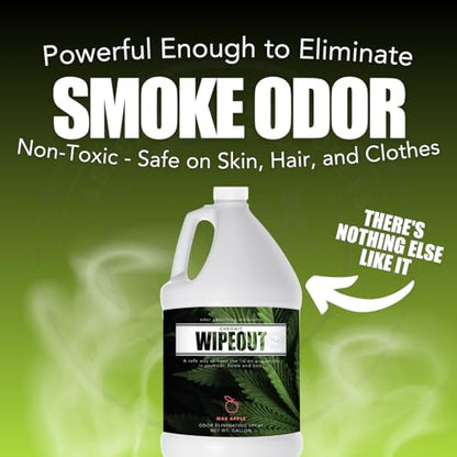 Chronic Wipeout Smoke Smell Eliminator for Home, Cars, Hands, Hair, Clothes, & More | Smoke Odor Eliminating Spray for All Kinds of Strong Smoke | Gifts for Smokers - Bamboo Teak 1 Gallon - size: 1 Count (Pack of 1)
