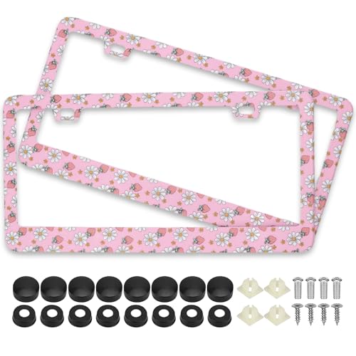 Pink Strawberry Daisy Flowers License Plate Frames, 2 Pack Strawberry Flower Car Plate Frame, Stainless Steel License Plate Holders Covers with Free Screws Fasteners Caps (Pink Strawberry Flowers) - color: Pink Strawberry Flowers