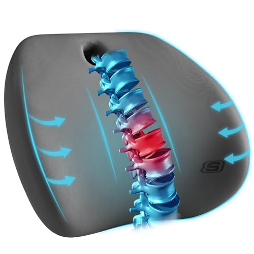 Skechers Lumbar Support Pillow for Office Chair,Memory Foam Lumbar Pillow,Lower Back Pain Relief Lumbar Pillow,Ergonomic Design Back Support Pillow for Office Chair,Car,Home,Travel,Gray - color: Gray
