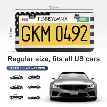 QUANQIUFEI 2 Pack License Plate Frames, Stainless Steel Car License Plate Cover Car Accessories with Screw Caps (Grey and Black) - color: Grey and Black