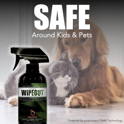 Chronic Wipeout Smoke Smell Eliminator for Home, Cars, Hands, Hair, Clothes, & More | Smoke Odor Eliminating Spray for All Kinds of Strong Smoke | Gifts for Smokers - Bamboo Teak 2 Pack (16 oz) - size: 16 Ounce (Pack of 2)