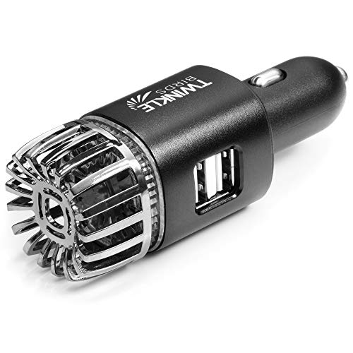 Car Air Purifier Ionizer - 12V Plug-in Ionic Anti-Microbial Car Deodorizer with Dual USB Charger - Smoke Smell, Pet and Food Odors, Allergens, Viruses Eliminator for Car (Matte Black) - color: Matte Black