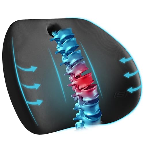 Skechers Lumbar Support Pillow for Office Chair,Memory Foam Lumbar Pillow,Lower Back Pain Relief Lumbar Pillow,Ergonomic Design Back Support Pillow for Office Chair,Car,Home,Travel,Black - color: Black